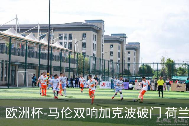 欧洲杯-马伦双响加克波破门 荷兰3-0罗马尼亚